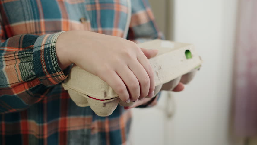 Caucasian woman in plaid shirt holding and opening carton box with easter painted eggs in light kitchen. Closeup of female hands presenting colorful dyed eggs in cardboard tray. No face