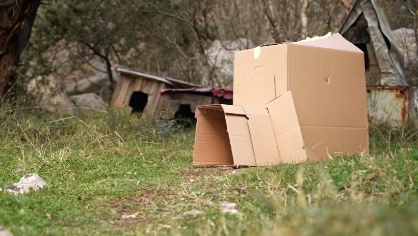 A small dachshund dog in a balaclava and a T-shirt drags a bag into a paper kennel, in the background are village barns and trees, outdoors