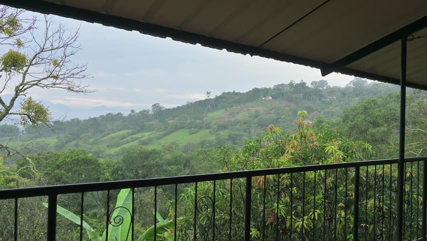 A man leans on a covered balcony holding a cup of coffee as he gazes across misty, green hills and distant mountains on a calm rainy morning.
