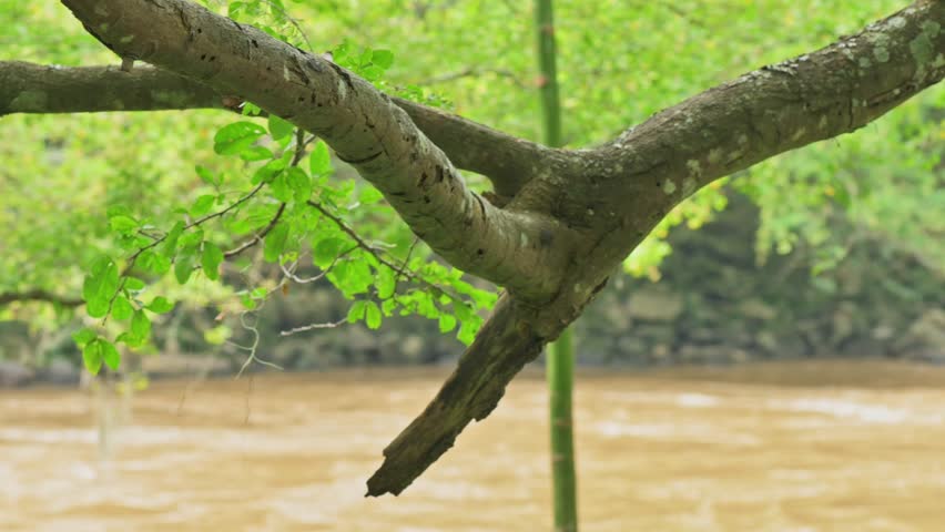 Blurred group of rafters paddling raft down a muddy river.