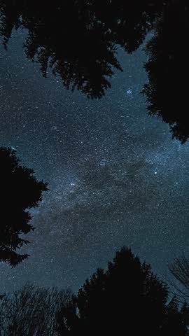Magic Night Sky with Stars of Milky Way Galaxy Rotating Over Forest, Vertical Timelapse