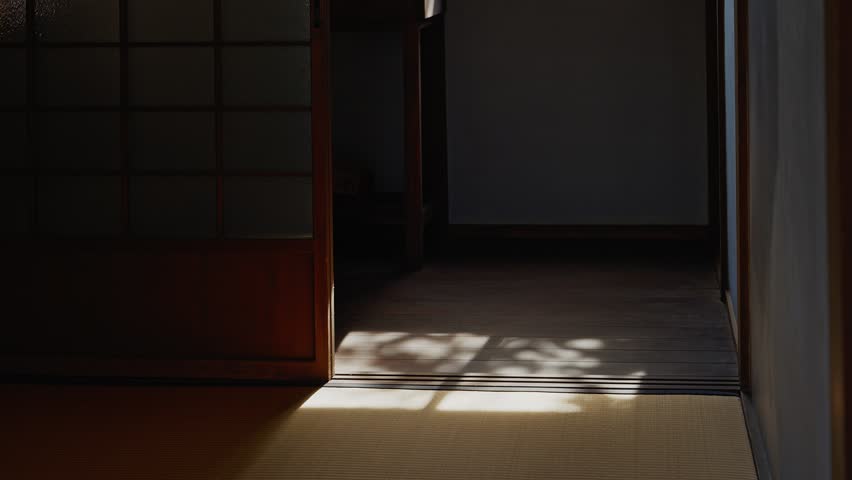 A peaceful interior shot showing natural light and tree shadows (Komorebi) through a shoji screen onto a tatami floor in a historic Japanese house.