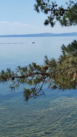 Tranquil Lake View with Pine Trees and Boat