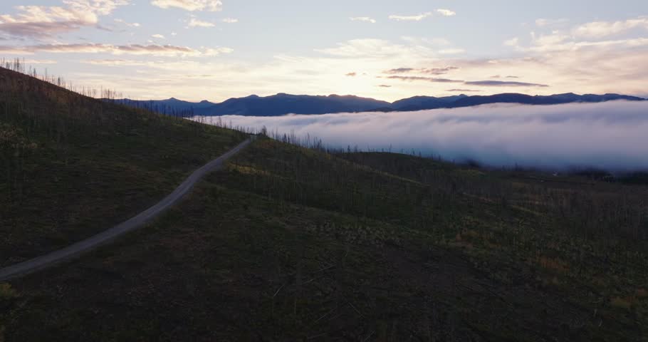 Aerial sunrise over fog filled Grand Lake with mountain backdrop, drone dolly of burned forest trees, silhouette, Colorado USA