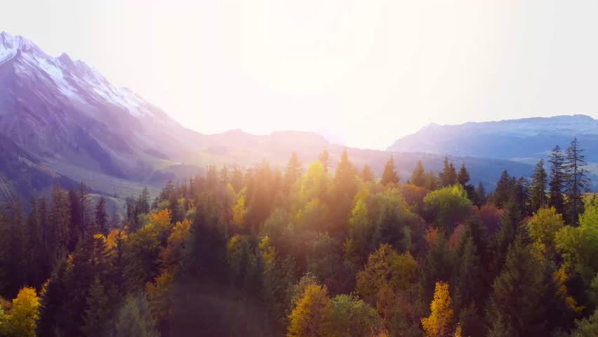 A breathtaking view of a mountain landscape featuring lush green trees and colorful foliage illuminated by sunlight. The scene captures the tranquility of nature in a serene setting.