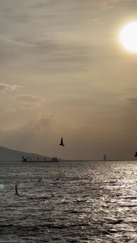Serene Sunset Over Ocean with Flying Seagulls, 