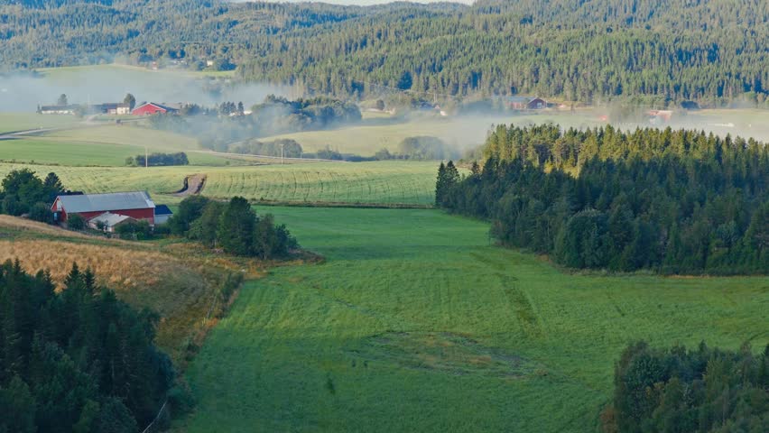 Rural Landscape With Farmhouses Surrounded By Fields And Pine Forest. Aerial Wide Shot