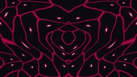Abstract neon red vein pattern forming a kaleidoscopic loop suitable for video projects and visuals - Powered by Shutterstock - Get 15% off with code: PIKWIZARD15