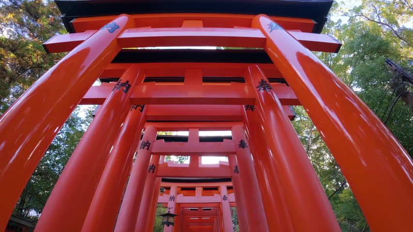 Slow forward motion pov through the thousands of Red Torii Gates at Fushimi İnari Shrine in Kyoto