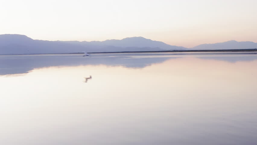 Serene sunset at Salton Sea with a great egret in flight over calm water