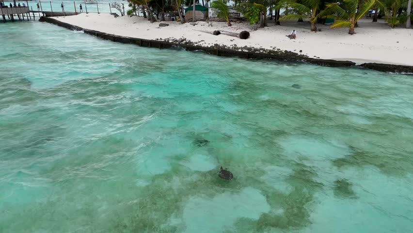 Drone Aerial View of Onok Island, Balabac, Philippines. Tropical Beach, Clear Water, Coral Reefs and Turtles.