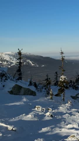 Breathtaking panoramic view from a snowy mountain peak in the Ural Mountains, scenic winter landscape with pine trees and distant slopes under a clear blue sky.