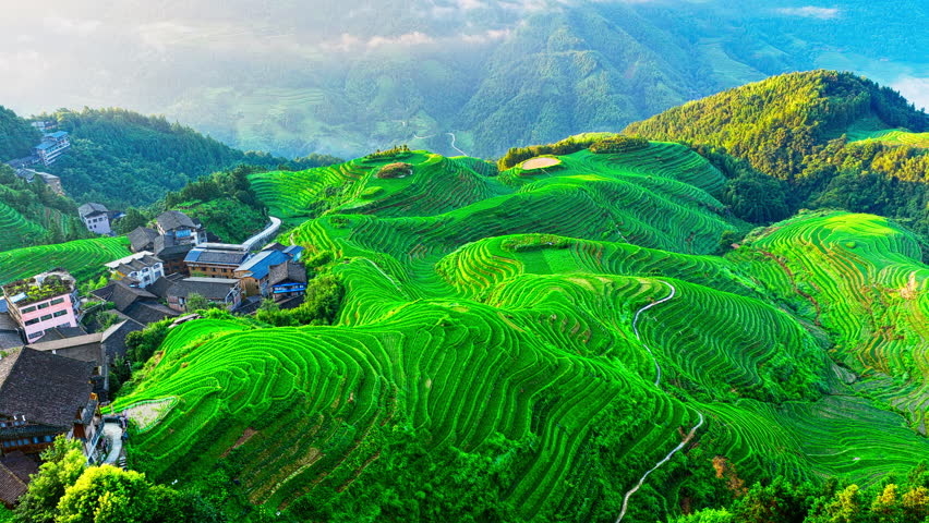 Vibrant green Longji Rice Terraces (Dragon's Backbone) and traditional ethnic village in Guilin, Guangxi, China. Rural agricultural landscape.