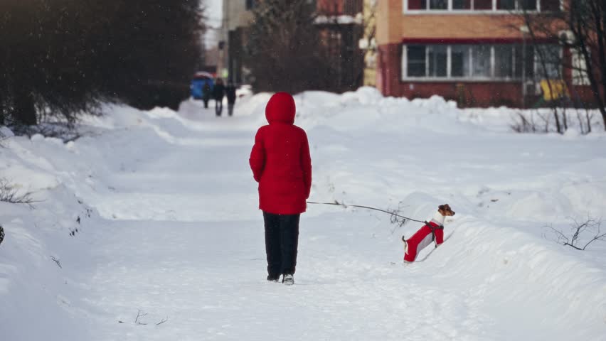 Redcoated Woman On Snowy Street. Woman Dressed In Red Coat Walking Through Cold Wintry Neighborhood