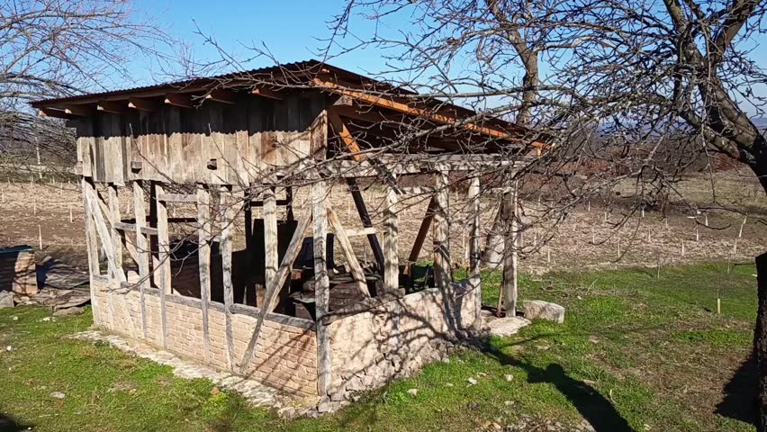 Abandoned rustic wooden barn in rural countryside landscape with orchard and leafless tree on a sunny day