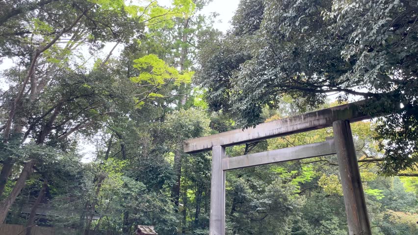 A large wooden torii gate standing in the forest on the approach to the shrine (Ise Jingu Inner Shrine)