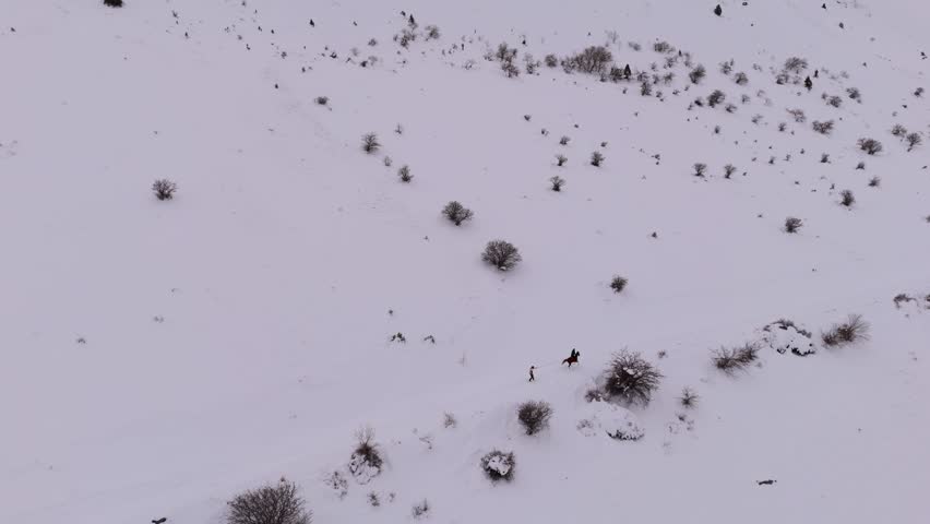 People snowboarding on horseback in a snow-covered village.