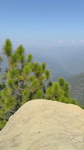 Exploring the Majestic Pine Forest Ridge: A Breathtaking Cinematic Panorama of Mist-Covered Mountains and Endless Green Valleys