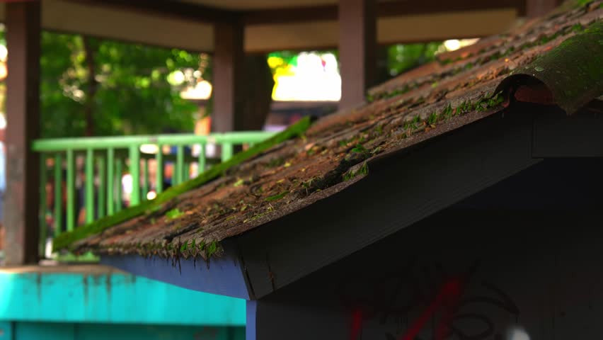 Close up on a small, slanted wooden roof of a park structure covered in natural moss, lichen, and fallen debris with a blurred green background.