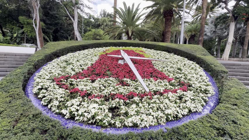 Tropical Plants in Parque García Sanabria, Santa Cruz de Tenerife