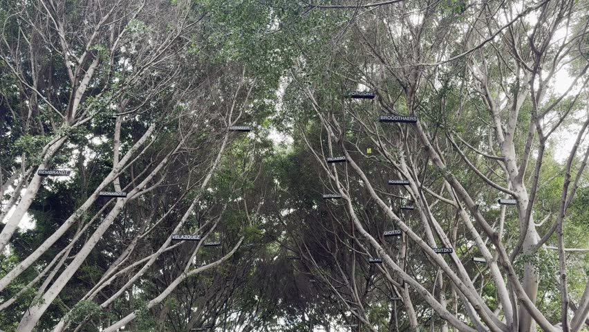Tropical Plants in Parque García Sanabria, Santa Cruz de Tenerife