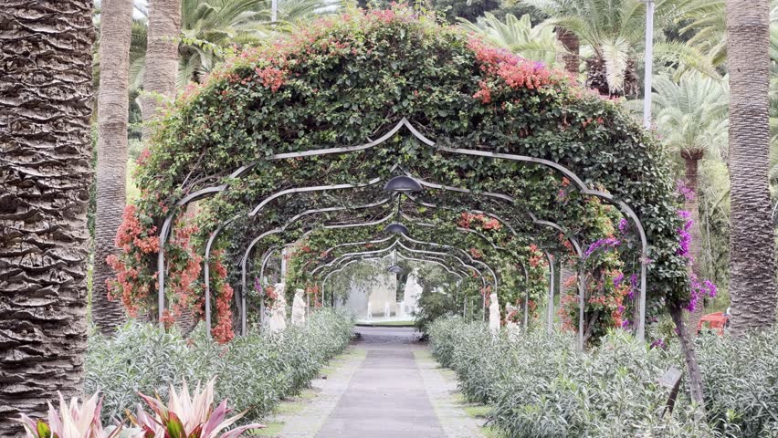 Tropical Plants in Parque García Sanabria, Santa Cruz de Tenerife