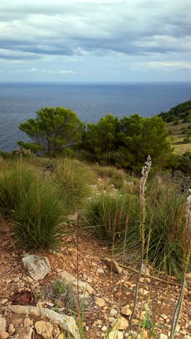 Ruins of an old stone tower on mountain with sea view in Canyamel, Mallorca, Spain. Historic coastal defense remains surrounded by rocky landscape, Mediterranean scenery. Vertical footage 