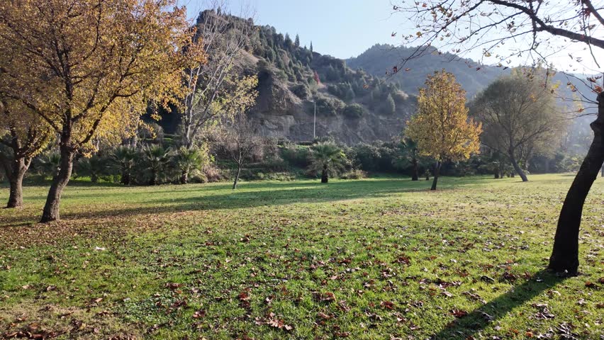 Tranquil Autumn Landscape With Sun And Trees. Calm Park Filled With Colorful Leaves And Gentle Wind