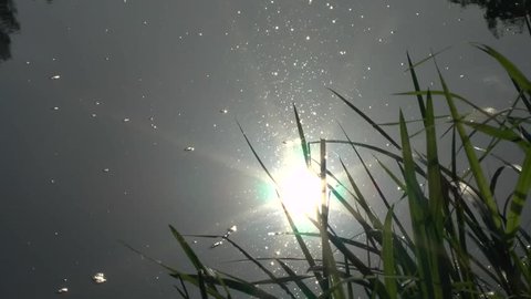 	Reflection of a sunlight in a river surface.