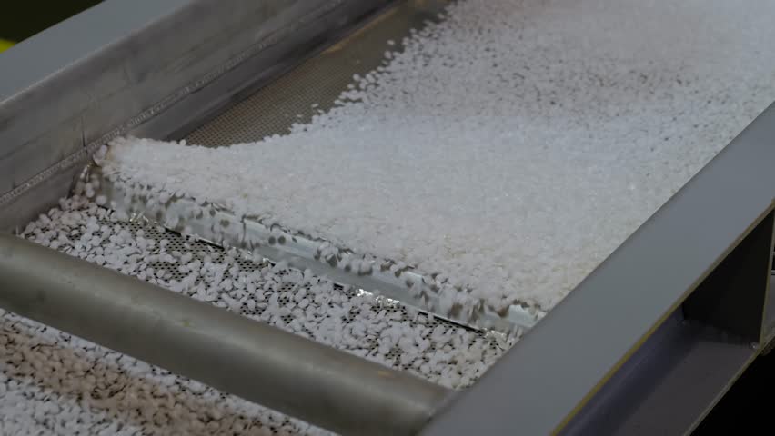 Polyethylene or propylene pellets - recycled plastic granules on conveyor belt, shale shaker of waste plastic recycling machine. Separation, environmental protection, automated technology concept