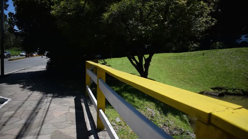 Fish in a lake by the roadside