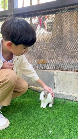 A young Asian boy crouches on artificial grass, gently petting a small white rabbit
