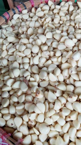 A large pile of peeled garlic cloves with glossy white surfaces, highlighting freshness and readiness for cooking or sale.