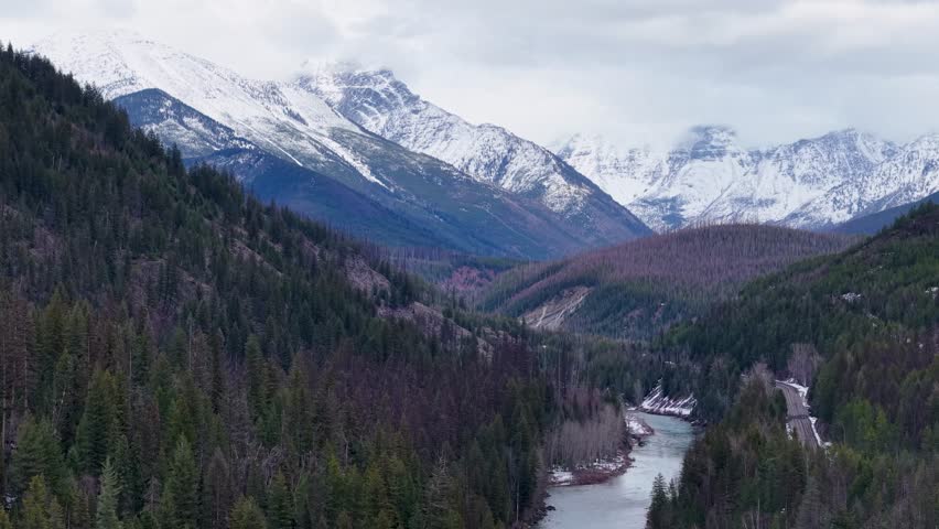 Aerial drone view of a mountain valley with a meandering river winding through dense pine forest and snow-capped peaks under a pastel sky in Glacier National Park, Montana.