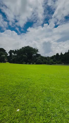 A perspective view of running in the botanical garden.