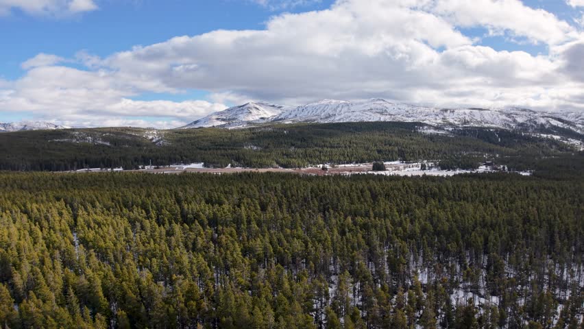 Drone footage captures sweeping aerial view of evergreen forest in Montana with snow-dusted mountains and partly cloudy sky.