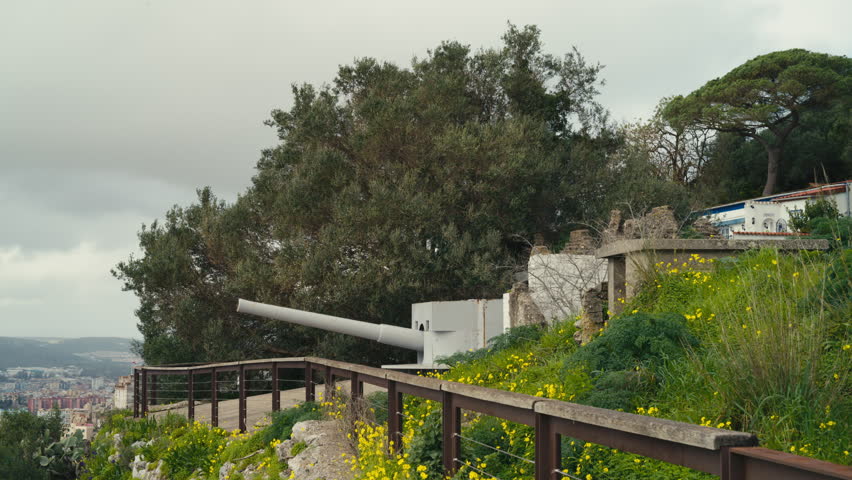 Historic coastal artillery cannon on the Rock of Gibraltar overlooking the city and bay, surrounded by lush greenery and yellow wildflowers.