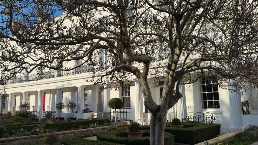 Horizontal view of elegant white terrace houses with front gardens and blooming magnolia in Gosport