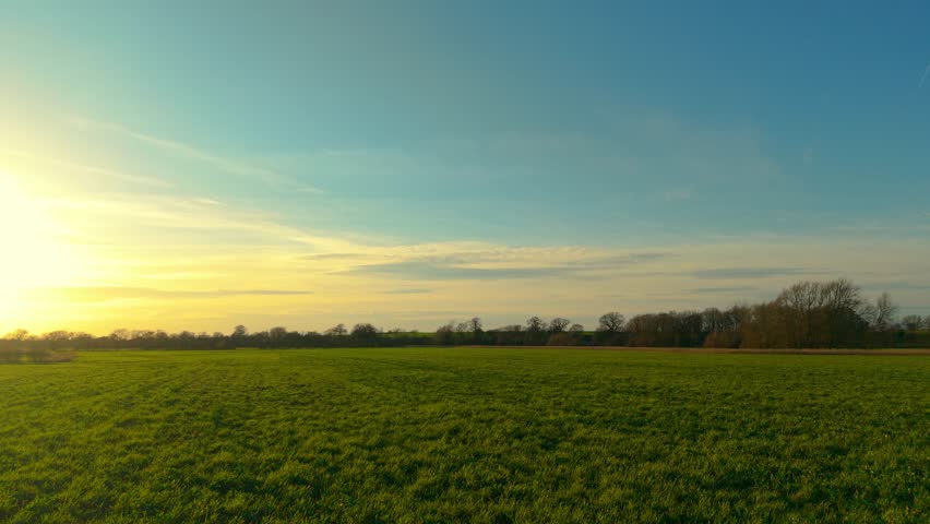 Sunset over wide green pasture meadow in rural agricultural landscape. Fodder grass covering farmland field used for livestock feeding and hay harvest. Agribusiness countryside scenery with lush