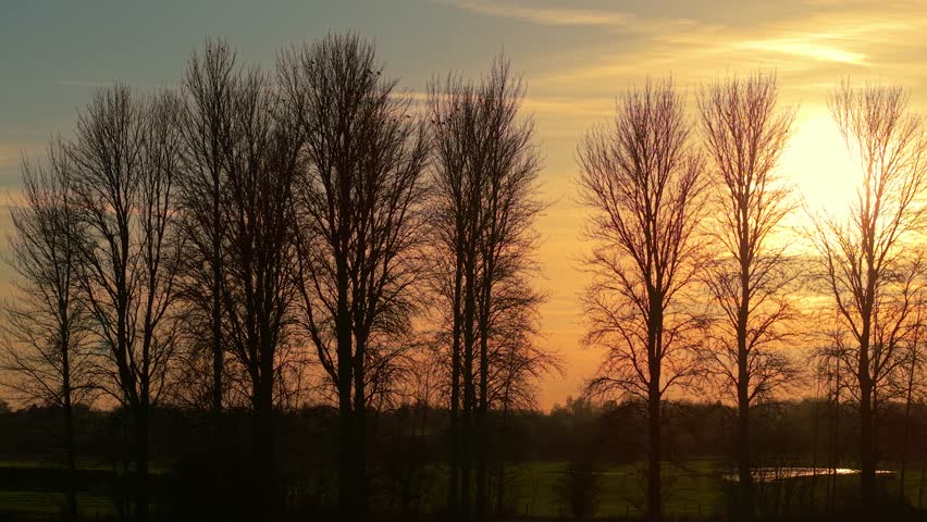 Evening sun glowing through bare forest trees, warm orange sunset sky. Bright sunlight filtering across branches, dramatic tree silhouettes. Tranquil countryside sunset atmosphere behind trees