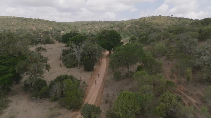 Aerial view of dirt track through trees, Kenya.