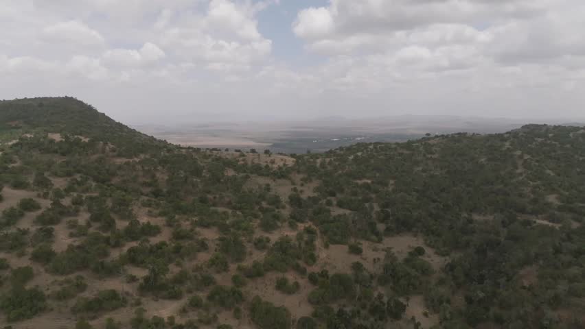 Aerial view of landscape with trees, Kenya.