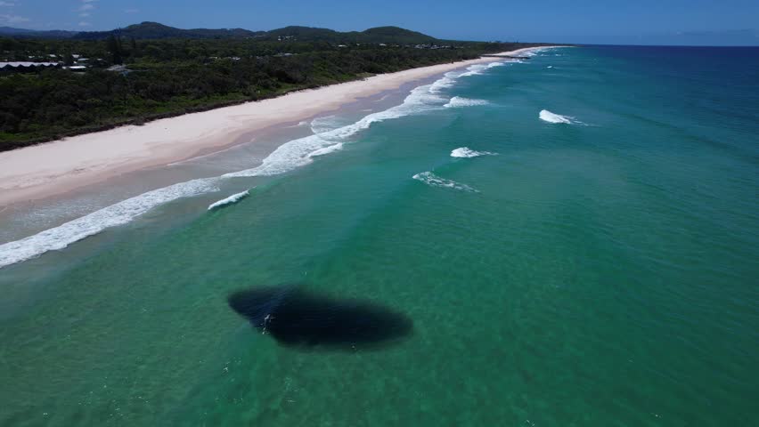Shark Feeding On Pilchard Baitfish Swimming Near The Shoreline Of Pottsville Beach In NSW, Australia. - aerial shot
