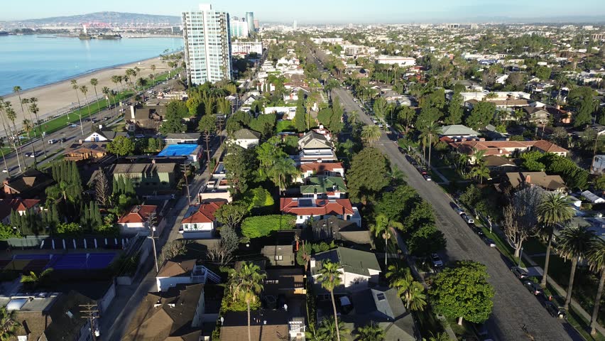 Oceanfront stretch along Ocean Blvd near Bluff Park overlooks coastal, palm rows, distant port cranes, downtown skylines framing shoreline. Sunlit roofs, tall palms, marine haze, Long Beach, CA. USA