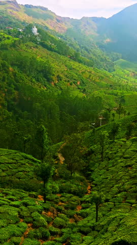 Aerial portrait view of Munnar