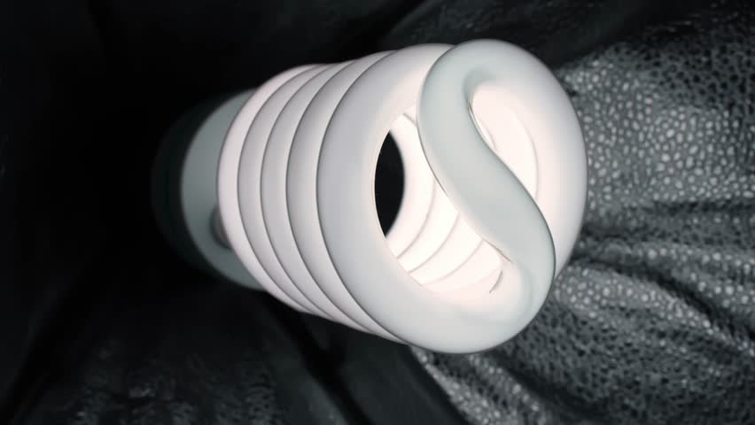 Spiral CFL bulb close-up on black textured fabric, minimal studio still life with copy space—concept of energy efficiency, eco-friendly living and saving electricity.