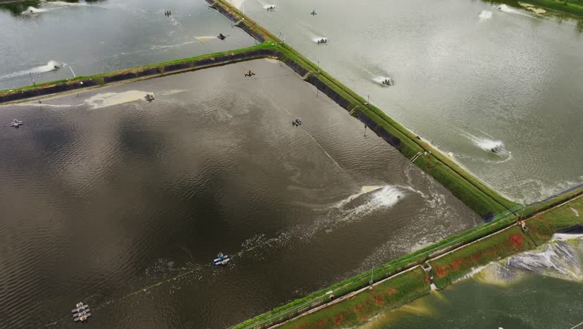 Top view of shrimp aquaculture ponds with circulating aerators and water motion