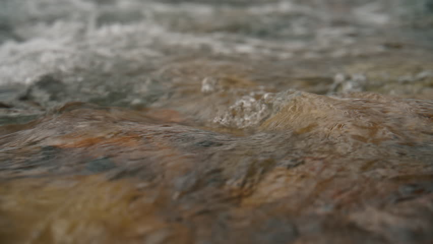 Crystal clear water of a wild mountain river flowing over stones in a beautiful natural environment. Soothing close up view of the calming current of a pristine creek with ripples and rapids