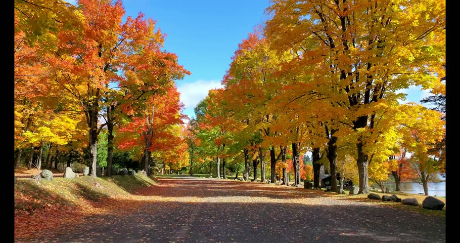 Beautiful Fall color in Michigan USA 
