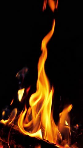 Flame of fire at bonfire in the dark, closeup. Vertical footage